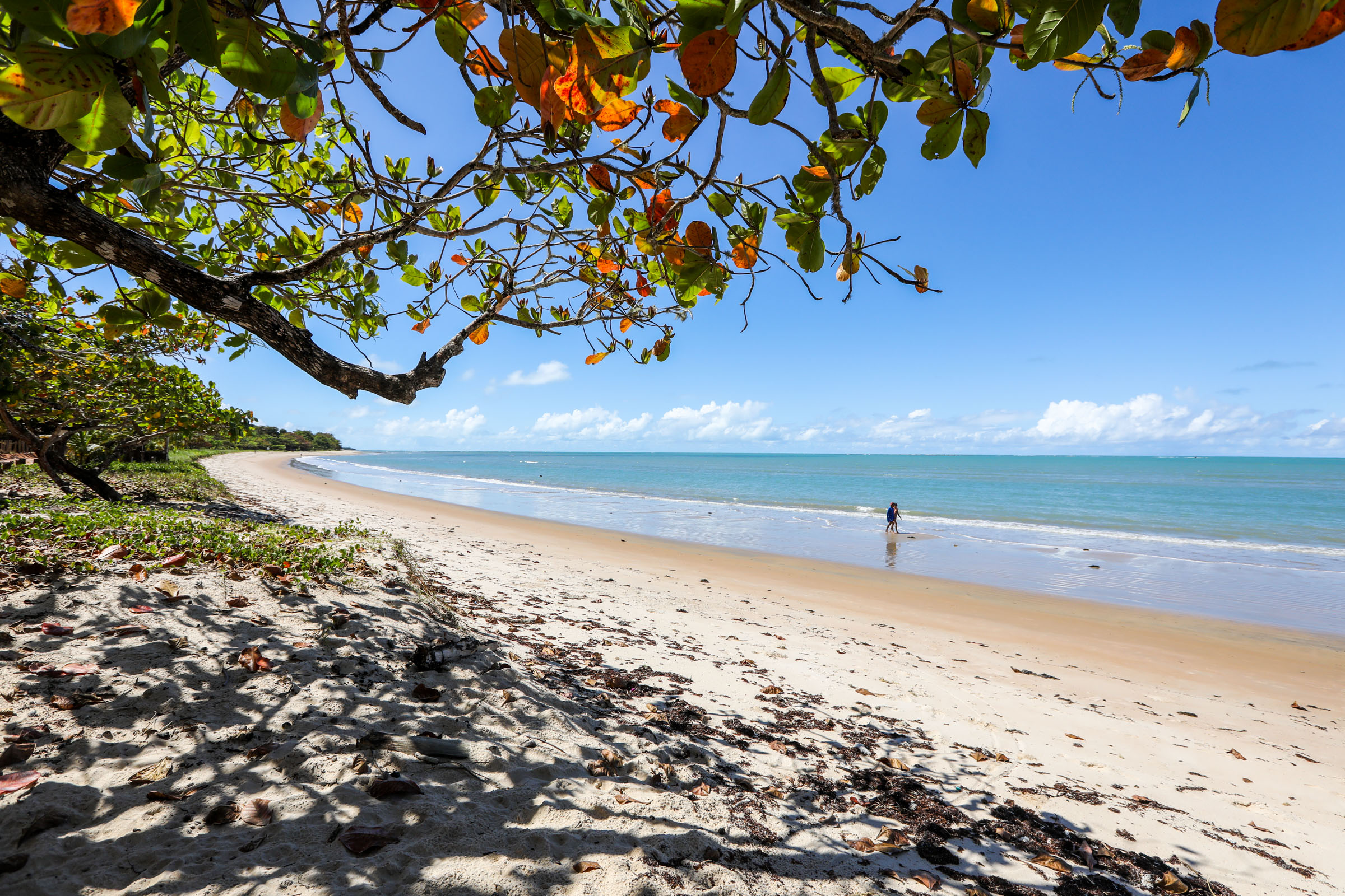 Cumuruxatiba o que fazer