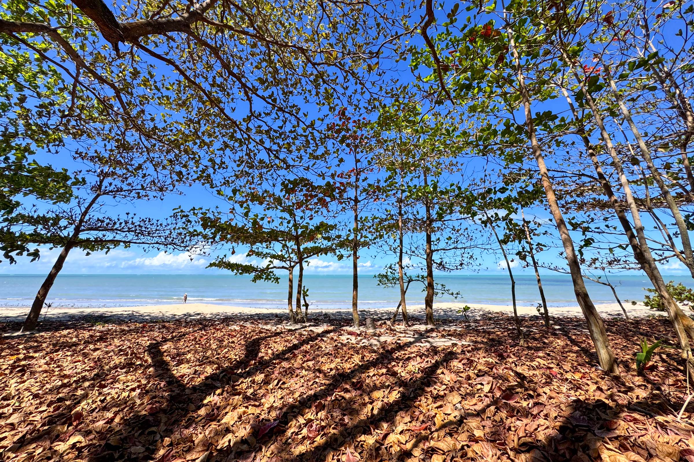 Praia do Rio do Peixe