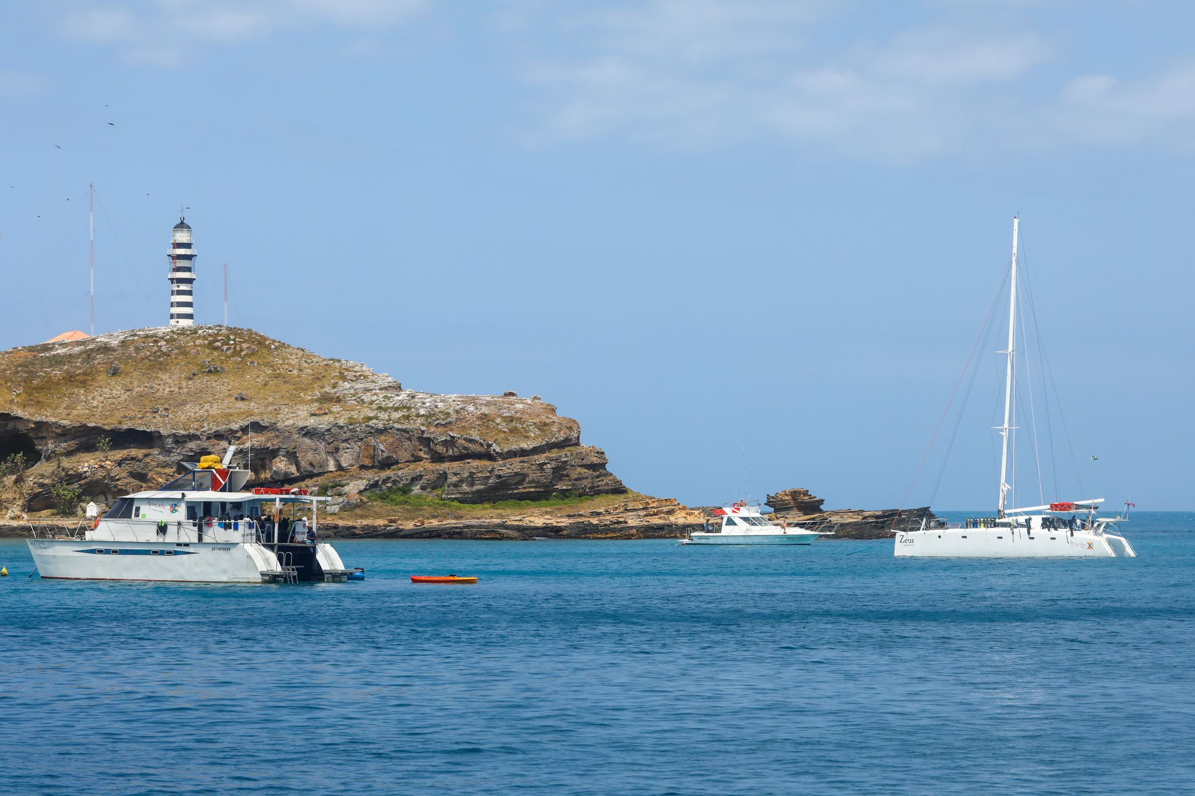 Jubartes Cumuruxatiba